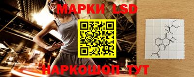 шишки Дубна