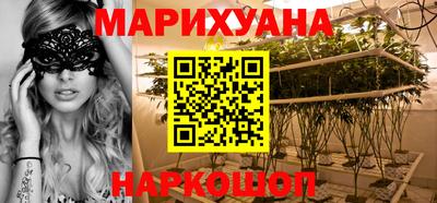 шишки Дубна