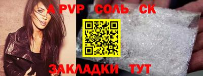 шишки Дубна